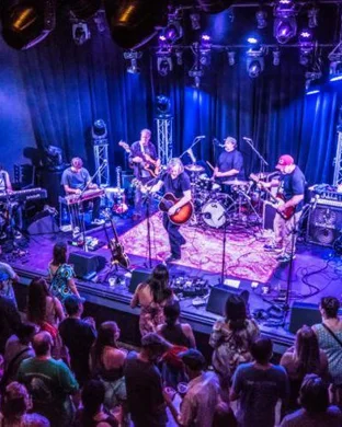 The Brothers Comatose