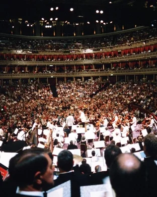 Soundscapes In Motion