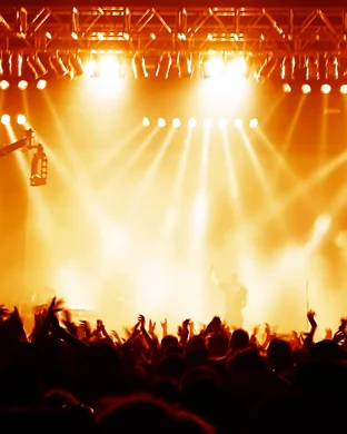 Live concert by Rose Disco Festival