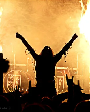 Bullet Tooth Phoenix