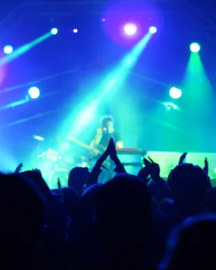 Jenny Harris Paradise Valley