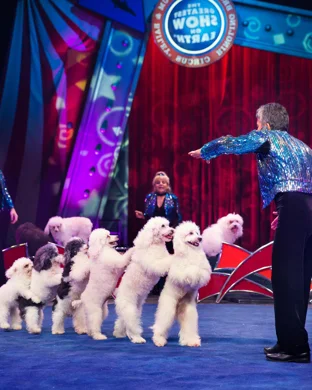 Omnium Circus Phoenix