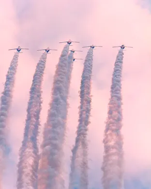 Airplane! Live with Julie Hagerty and Robert Hays