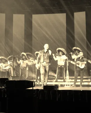 Alejandro Fernandez Phoenix