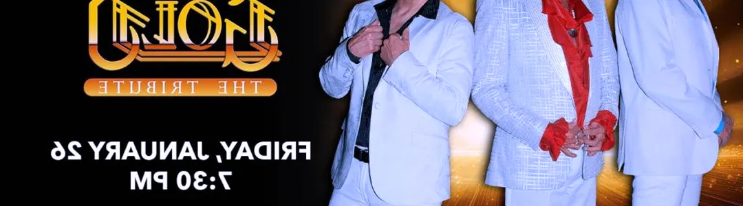 Bee Gees Gold - A Tribute to The Bee Gees