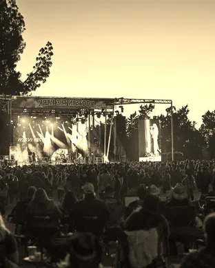 Boots In The Park Gilbert