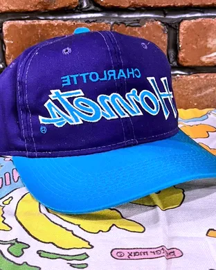 Charlotte Hornets vs. Phoenix Suns