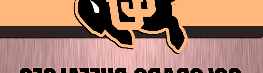 Colorado Buffaloes