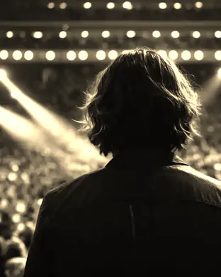 D.R.I. (Dirty Rotten Imbeciles)