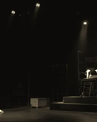 Daddy Long Legs Phoenix