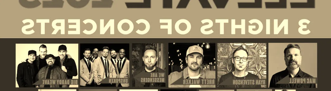 Elevate Music Festival