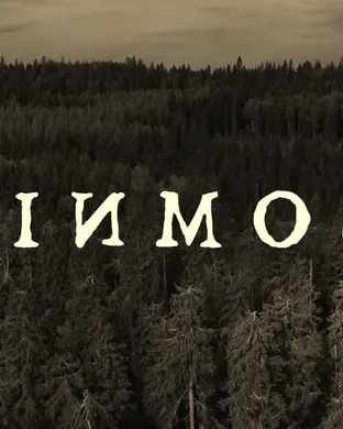 Insomnium