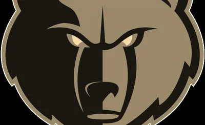 Memphis Grizzlies