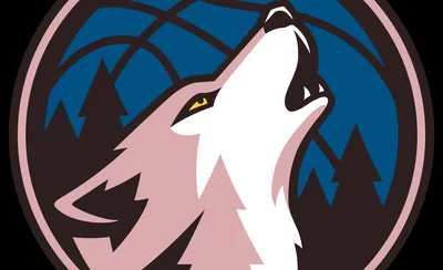 Minnesota Timberwolves