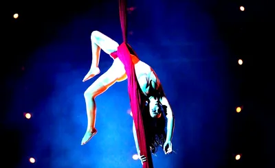 Paranormal Cirque