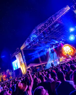 Reggae Rise Up Tempe