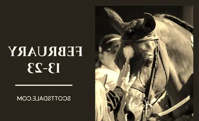 Scottsdale Arabian Horse Show