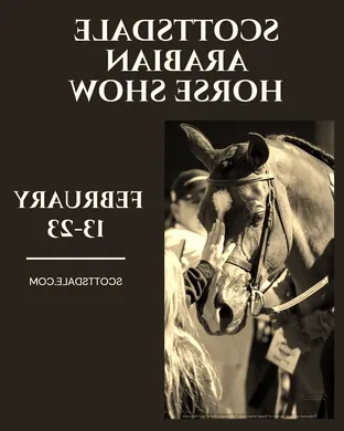 Scottsdale Arabian Horse Show