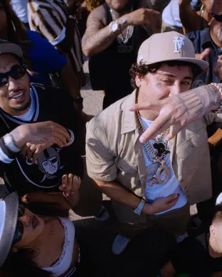 Shoreline Mafia