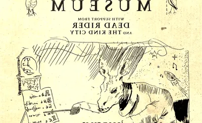 Sleepytime Gorilla Museum