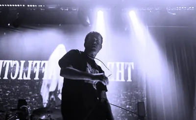 The Amity Affliction