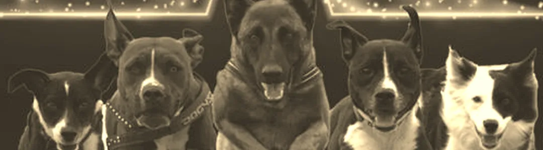 The Canine Stars Stunt Dog Show