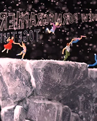 The New Pornographers