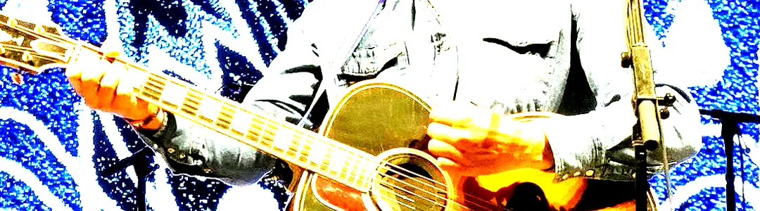 Turnpike Troubadours