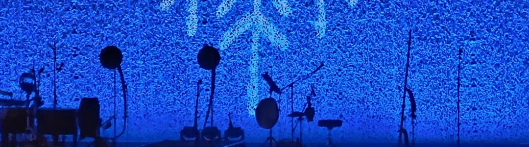 Wardruna