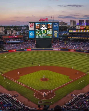 Chinese American Bear