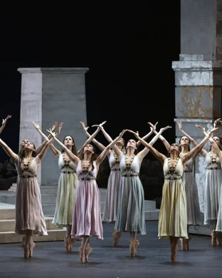 Swan Lake - Symphony of Lights