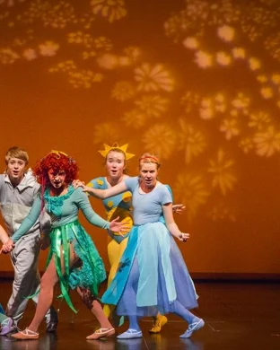 The Parody Puppet Princess Bride Phoenix